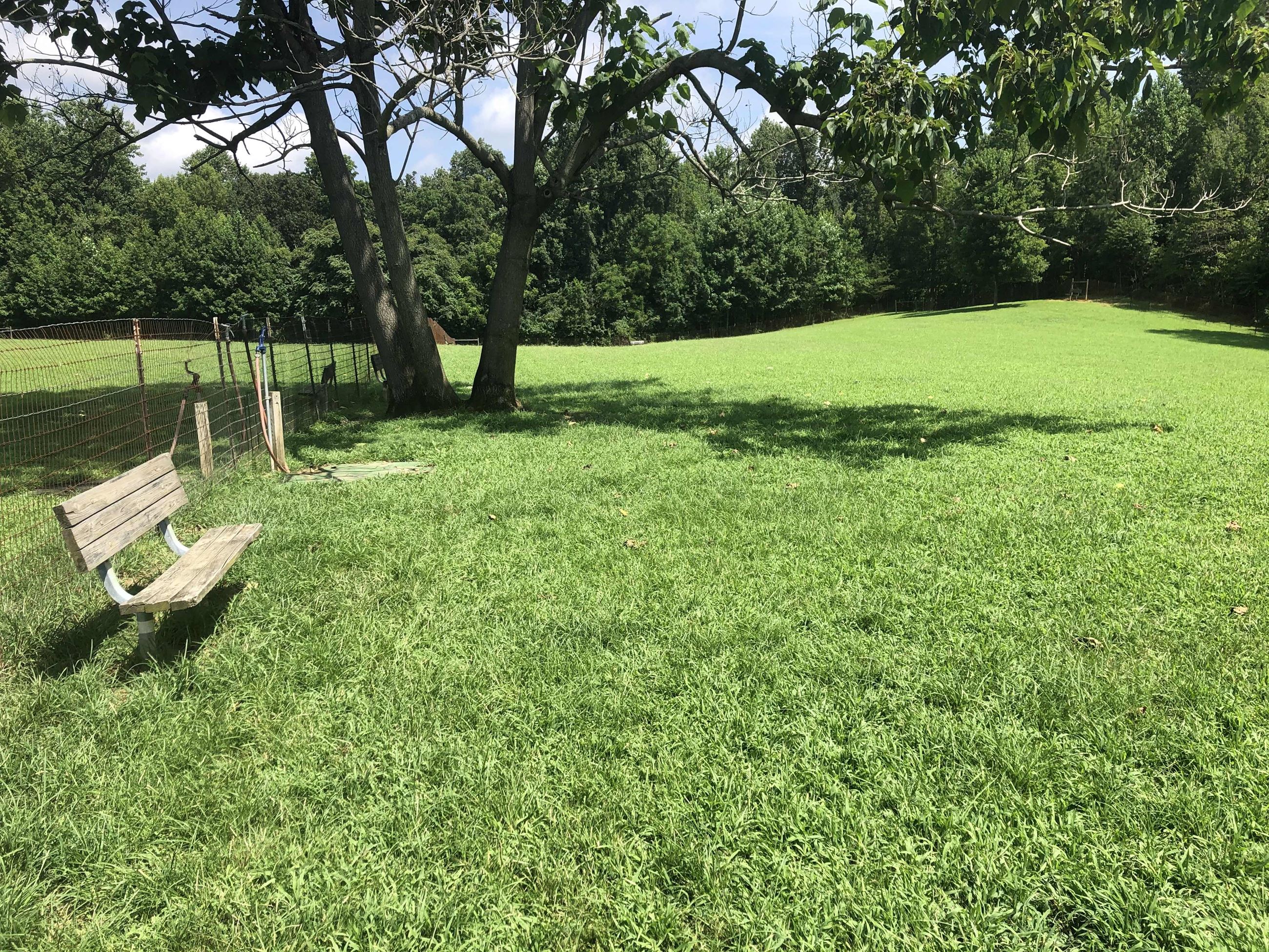 Grays Road Dog Park Bench