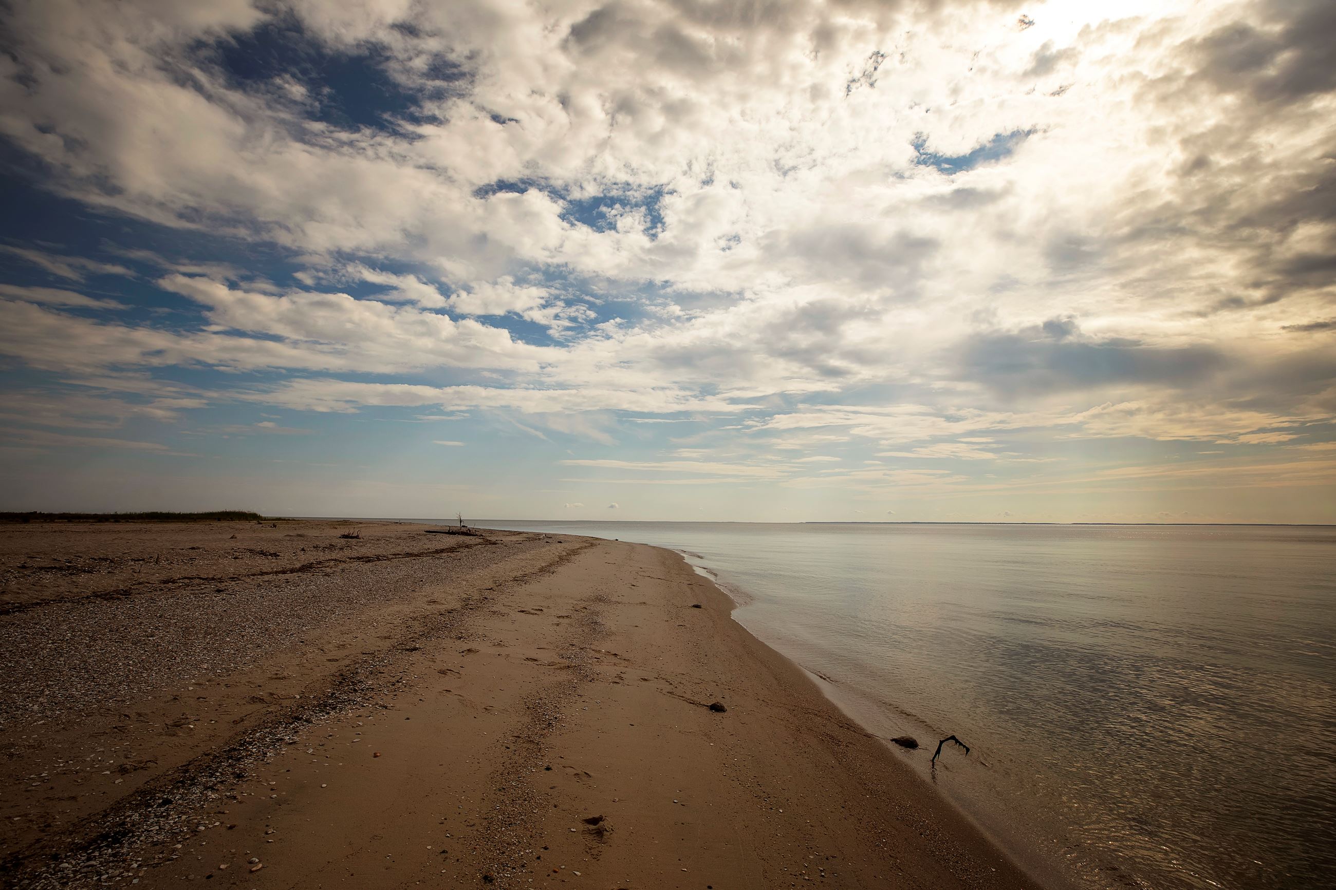 Flags pond shoreline