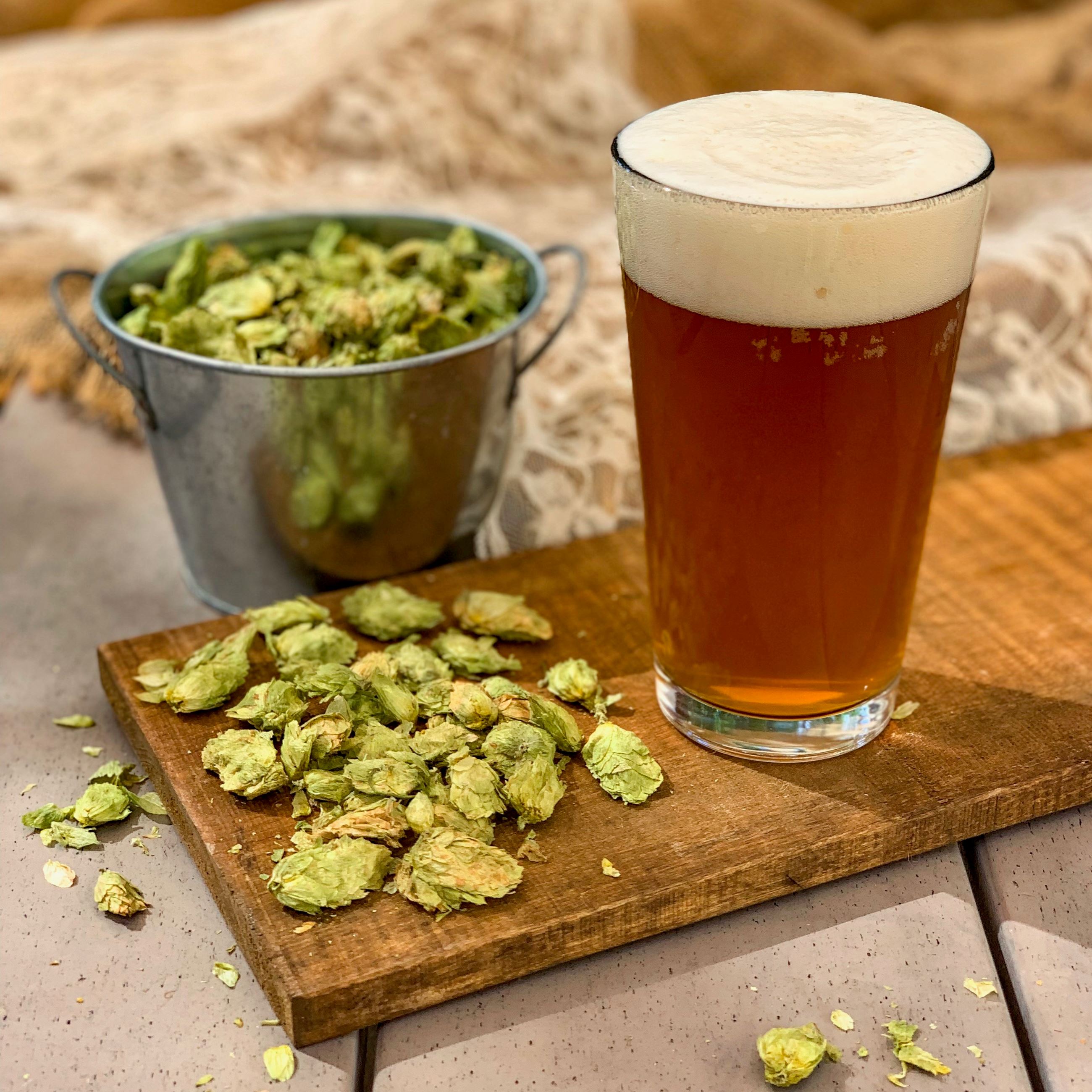 Glass of beer next to hops