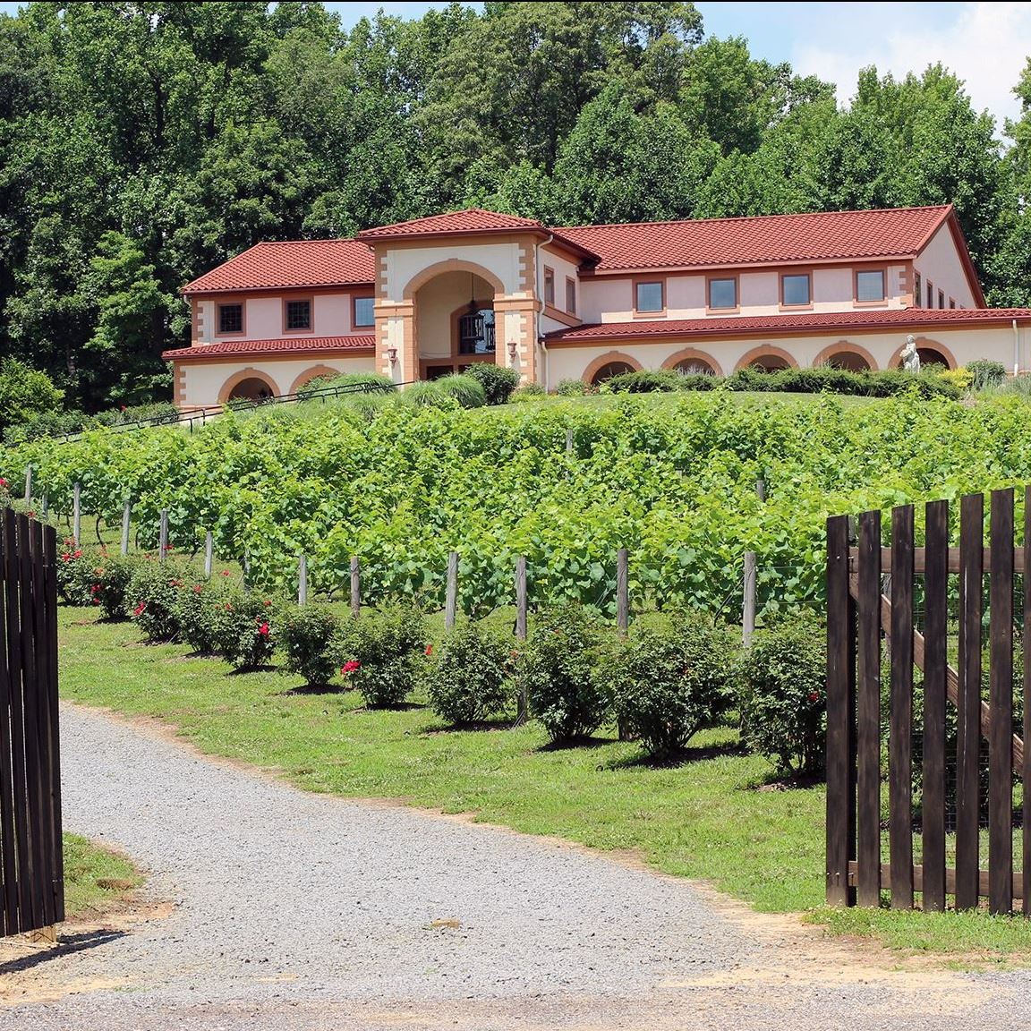 Wide shot of Running Hare Vineyard Tuscan Villa