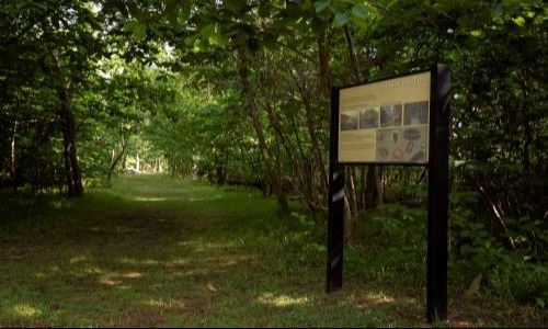 Flag Ponds trailhead with interpretive sign