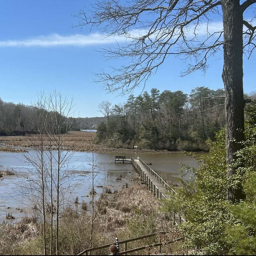 body of water surrounded by trees and grass at Gatewood Preserve