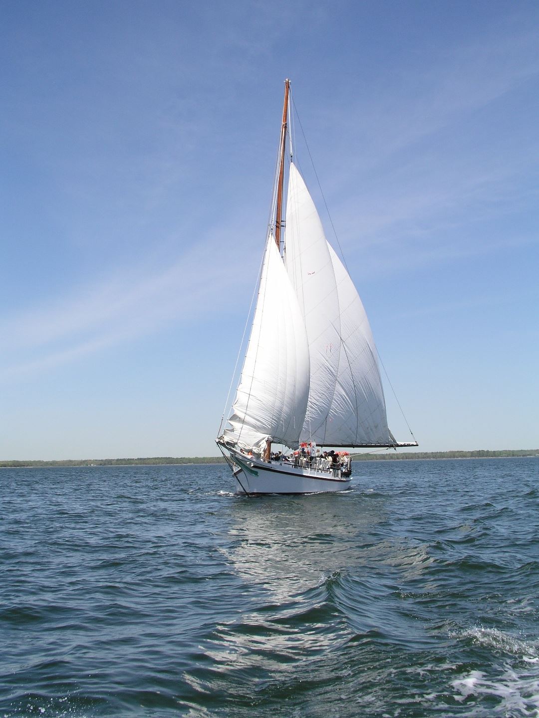 Sailboat on the water