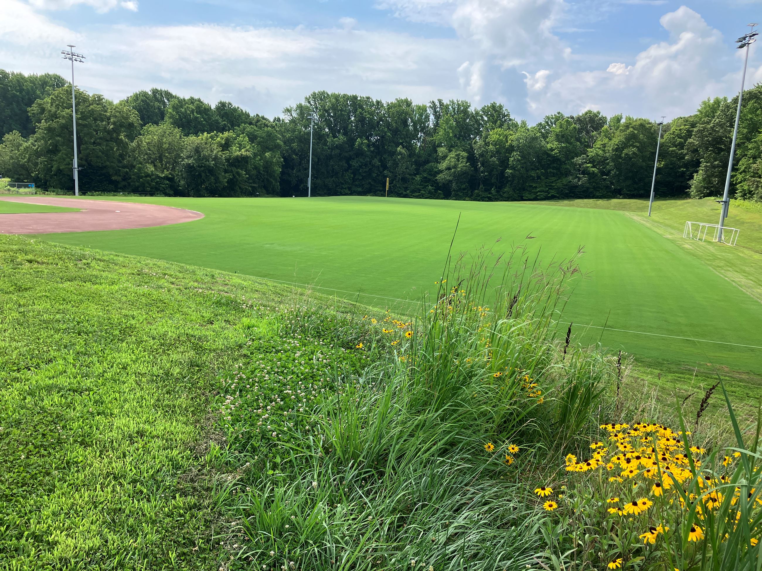 Athletic fields and flowers