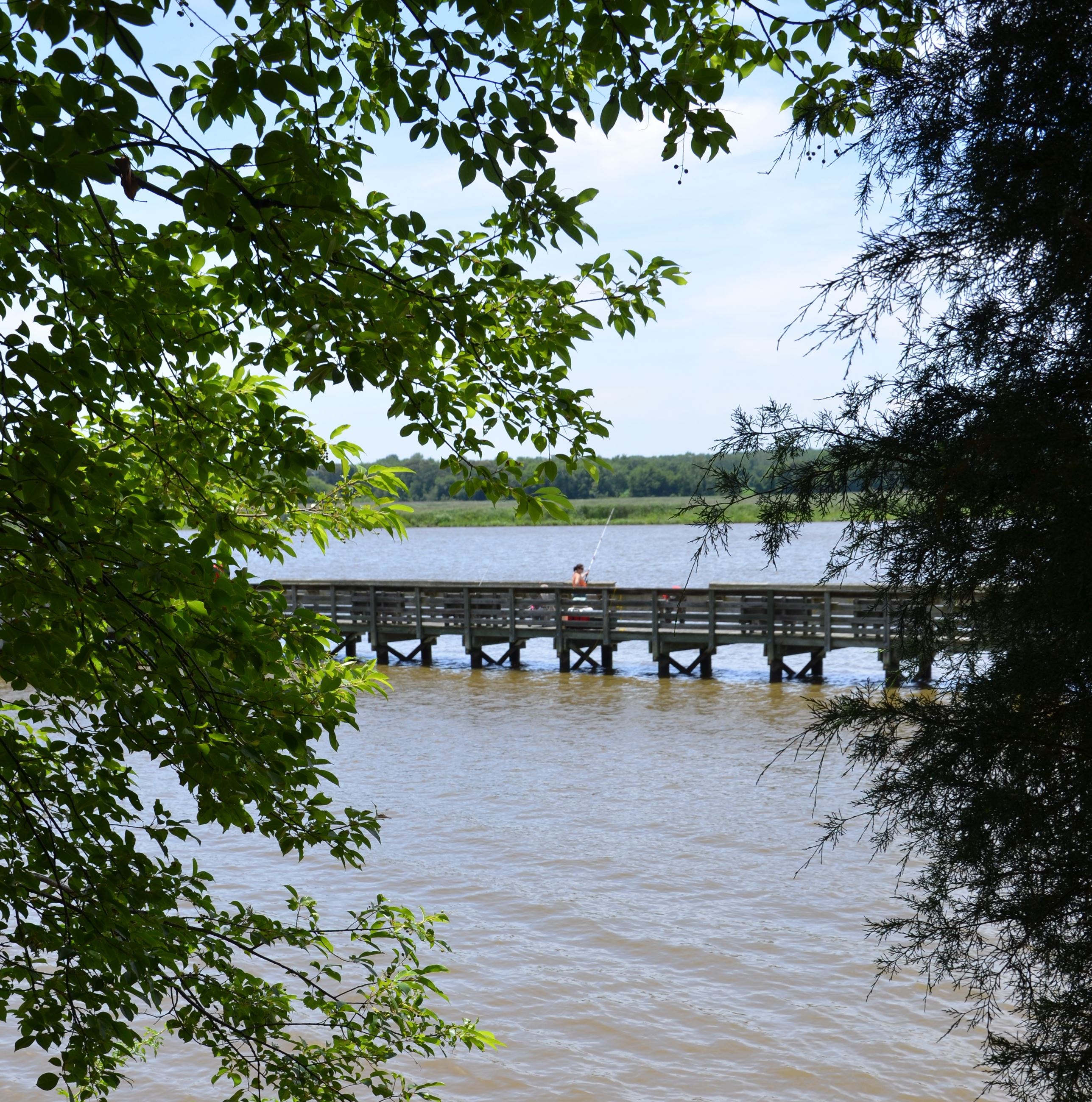 Kings Landing Pier from trail